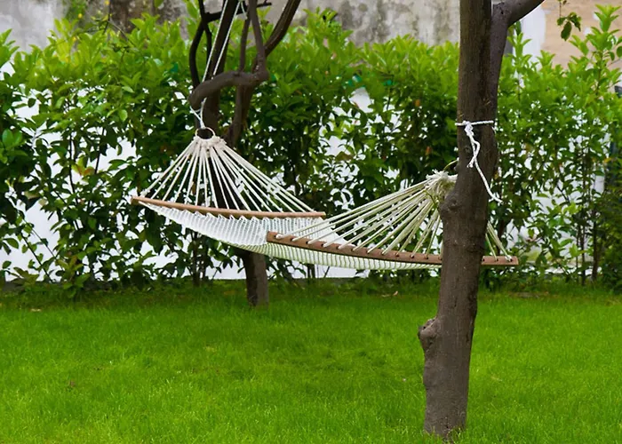 Il Paradiso di Dante